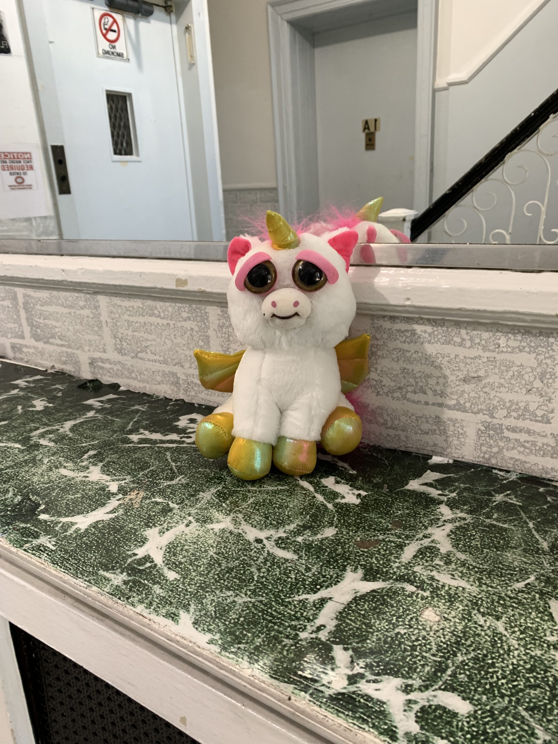 Little stuffed animal left in apartment building lobby for someone to take - free!